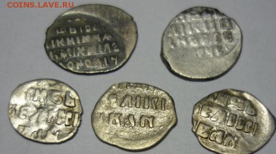 5 чешуек на опознание . - P1170568.JPG