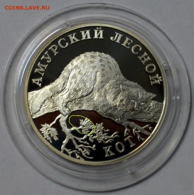 1 рубль 2004 Амурский лесной кот до 24.07.2015 22.00.59 мск - file.php