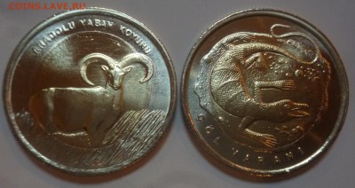 ДК Турция 1 лира Козел и Варан 2015 ФИКС 30.07 22.00 - P1200041.JPG