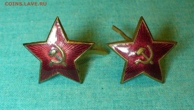 Две звёздочки на оценку. - P1130706.JPG