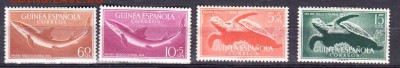 марки колонии Испанская Гвинея рыбы 1954г - 31