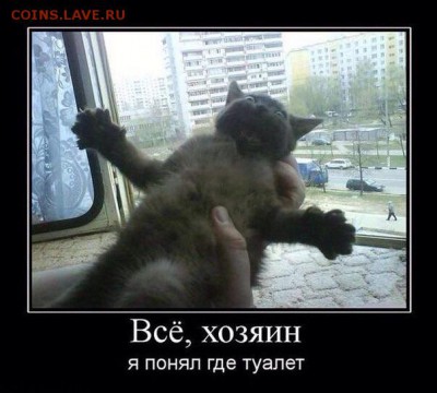 делает - прямо сейчас !!! - image