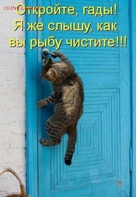 делает - прямо сейчас !!! - image