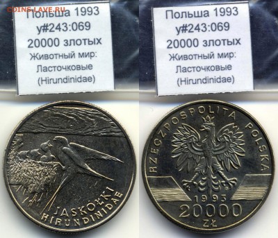 ~ЖИВОТНЫЕ~ПОЛЬША~ 1993 20000zł Ласточки y#243:69 до 30.07 - Poland_y243_069_1993_20000zl