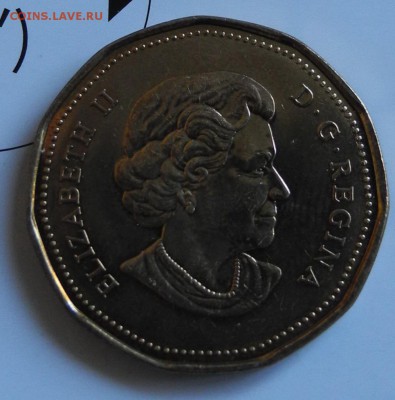 Канада 1 доллар 2004 до 31 июля - CAN lucky loony 2004 - 2