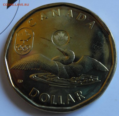 Канада 1 доллар 2012 до 31 июля - CAN lucky loony 2012 - 1