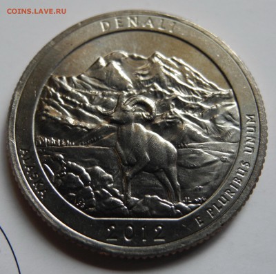 США парк №15 двор S до 20 июля - USA - denali - 1