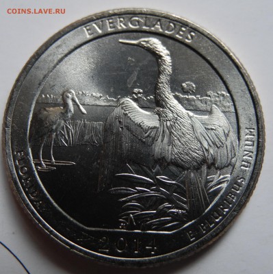 США парк №25 до 31 июля - USA - everglades - 1