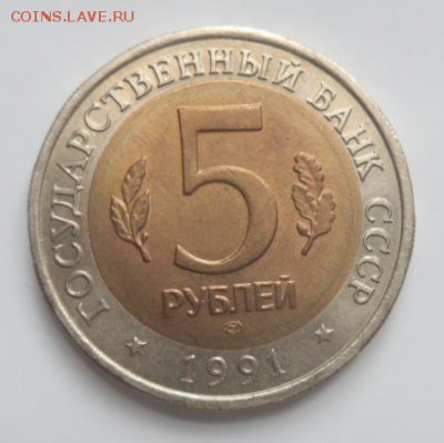 Кр.книга Рыбный филин  2экз- до 02.08.15 - SAM_5521.JPG