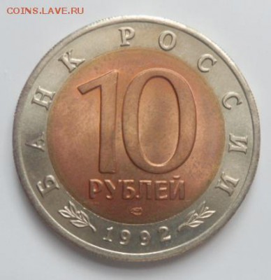 Кр.книга Среднеазиатская кобра - до 02.08.15 - SAM_5525.JPG