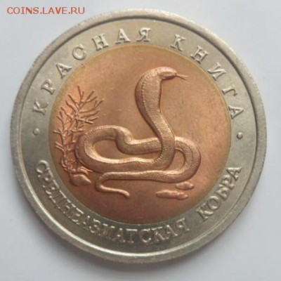 Кр.книга Среднеазиатская кобра 2экз - до 02.08.15 - SAM_5522.JPG