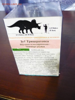 Окаменелость в "витринке" до 30.07. в 22.00 - P1180442.JPG