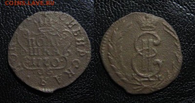 1770_полушка_Сиб_до 29.07 - 1770_ПолушкаСиб-300