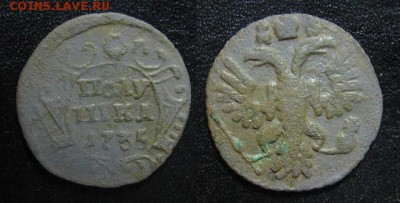 1735_Полушка_до 29.07 - 1735_полушка(5)-50