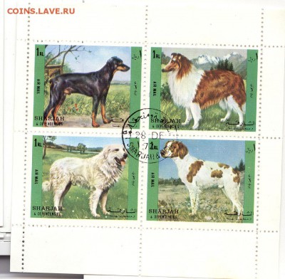 ФАУНА - СОБАКИ - 3 августа 21-30 МСК (гашёная) - Фауна-Эмираты01+