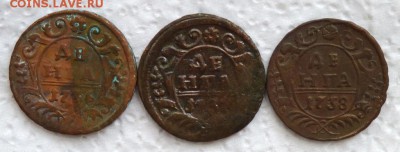 Денга 1736,37,38 до 30.07 - P1110050.JPG