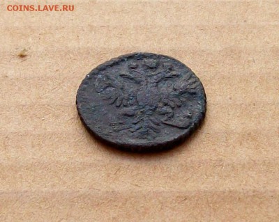 Полушка  1734  года  с  зеркальной  цифрой  4 в дате,редкая - 100_7416.JPG