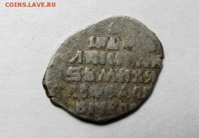 Четыре чешуйки на определение - IMG_0809.JPG