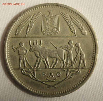 С 1 руб.F.A.O. ЕГИПЕТ 10 пиастр 1970г. КРЕСТЬЯНЕ до 3.08 - IMG_6767