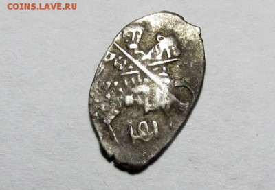 Четыре чешуйки на определение - IMG_0795.JPG
