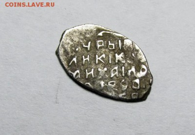 Четыре чешуйки на определение - IMG_0796.JPG