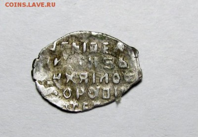 Четыре чешуйки на определение - IMG_0798.JPG