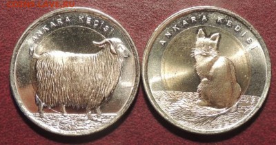 1 лира 2015 г. (2 шт. ) Турция. Коза, Кошка  до 04.08.15 г. - DSCN9230.JPG