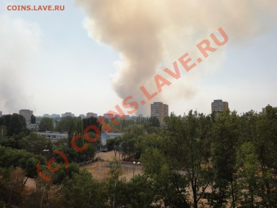 лес горит в тольятти - DSC00661.JPG