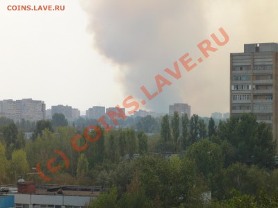 лес горит в тольятти - DSC00657.JPG