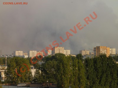 лес горит в тольятти - DSC00667.JPG