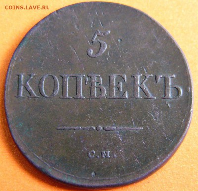 5 копеек 1833 СМ в родной патинею - P1300516.JPG