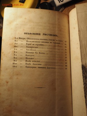 А.М. Бажанов «О возделывании пшеницы..." 1856г. - 8.JPG