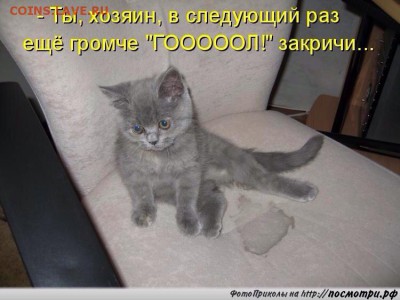 делает - прямо сейчас !!! - image
