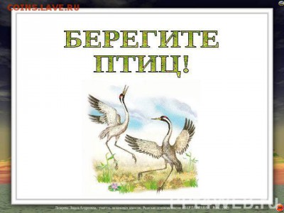 Вопросом на вопрос! - ПТИЦЫ