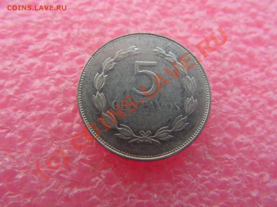 -Сальвадор- 5 сентаво 1994 -- 5 августа 21-00 - PICT0712.JPG