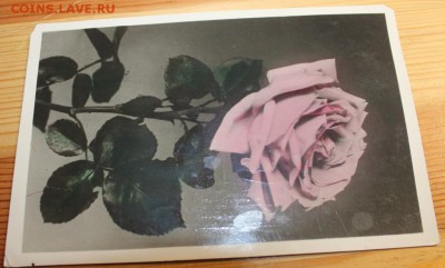 открытки,почтовые карточки и фото.оценка - IMG_9074.JPG