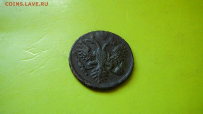 Деньга 1734 г.Разновидность 4 пера . до 5.08.15 г. 21:30 - P1170385.JPG