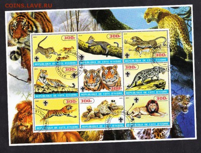 Берег Сл кости леопарды лист 2005г - 11