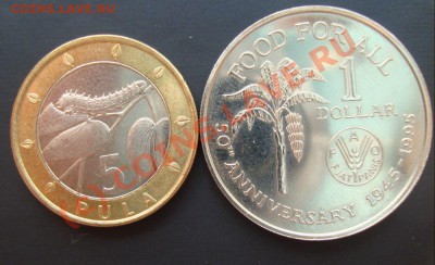 1$, 5 PULA - DSC02172.JPG