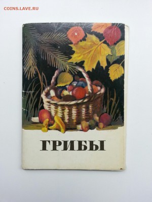 Набор Открыток "Грибы" 1971г до 05.08 22:00 - грибы (2)