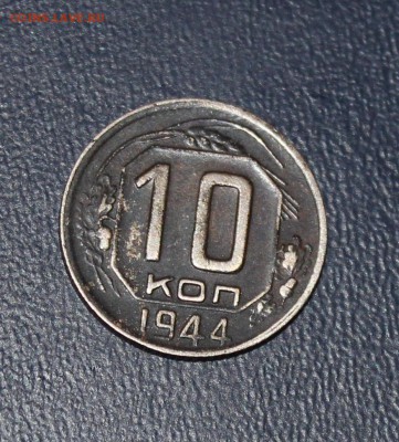 Трупики: 5к34, 15к42, 10к44 на оценку - IMG_9204.JPG