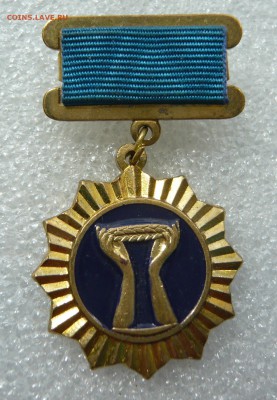 Знак "Форум общественное признание" тяжёлый до 09.08 в 19:00 - P1050543.JPG