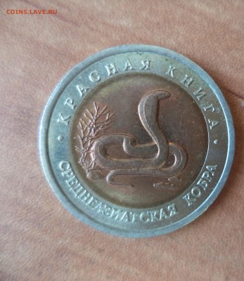 Красная Книга (Кобра) до 6.08.15 в 22.00 по МСК - DSC01095.JPG