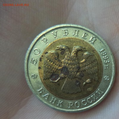 Красная Книга (Тетерев) до 6.08.15 в 22.00 по МСК - DSC01106.JPG