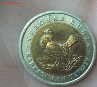 Красная Книга (Тетерев) до 6.08.15 в 22.00 по МСК - DSC01105.JPG