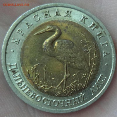 Красная Книга (Аист) до 6.08.15 в 22.00 по МСК - DSC01109.JPG