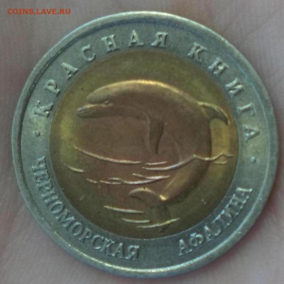 Красная Книга (Афалина) до 6.08.15 в 22.00 по МСК - DSC01115.JPG