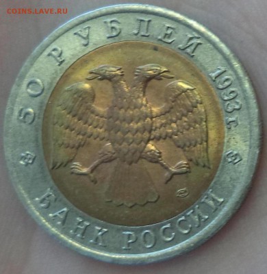 Красная Книга (Афалина) до 6.08.15 в 22.00 по МСК - DSC01116.JPG