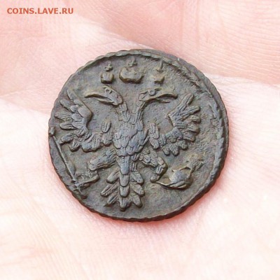 Полушка 1736 года - 100_7541.JPG