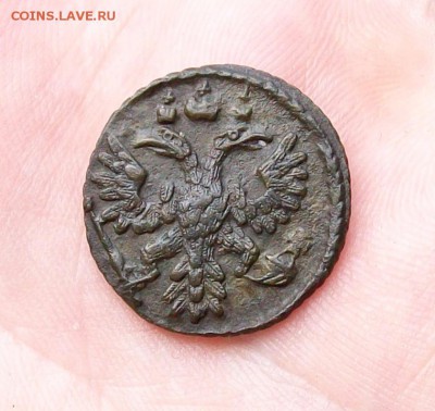 Полушка 1736 года - 100_7550.JPG